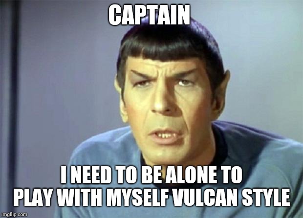 Disbelieving Spock | CAPTAIN; I NEED TO BE ALONE TO PLAY WITH MYSELF VULCAN STYLE | image tagged in disbelieving spock | made w/ Imgflip meme maker