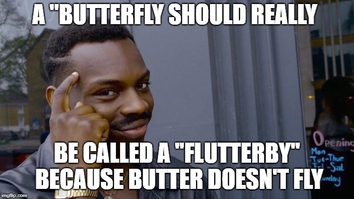 Roll Safe Think About It Meme | A "BUTTERFLY SHOULD REALLY; BE CALLED A "FLUTTERBY" BECAUSE BUTTER DOESN'T FLY | image tagged in memes,roll safe think about it | made w/ Imgflip meme maker
