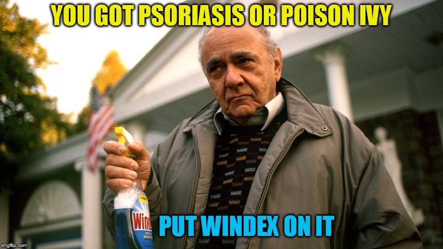 YOU GOT PSORIASIS OR POISON IVY PUT WINDEX ON IT | made w/ Imgflip meme maker