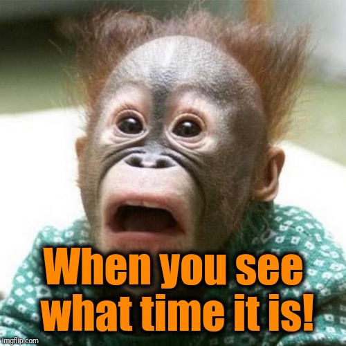 Shocked Monkey | When you see what time it is! | image tagged in shocked monkey | made w/ Imgflip meme maker