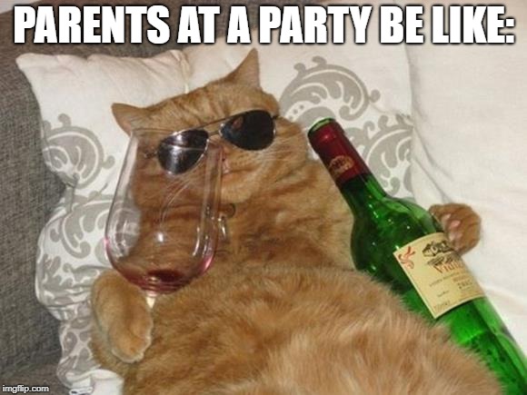 Funny Cat Birthday | PARENTS AT A PARTY BE LIKE: | image tagged in funny cat birthday,dashhopes,raydog,jying,socrates | made w/ Imgflip meme maker