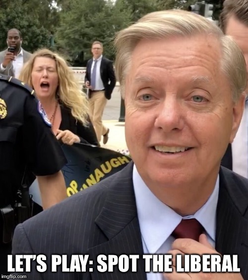 This game’s too easy... | LET’S PLAY: SPOT THE LIBERAL | image tagged in libtards,politics | made w/ Imgflip meme maker