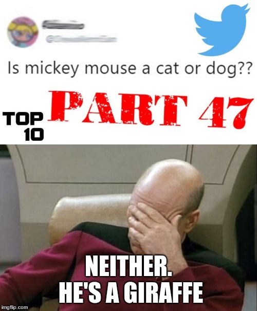 Is that really something you don't know? | NEITHER. HE'S A GIRAFFE | image tagged in captain picard facepalm | made w/ Imgflip meme maker