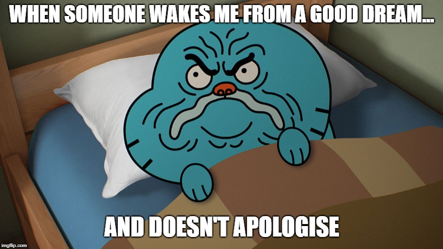 Grumpy Gumball | WHEN SOMEONE WAKES ME FROM A GOOD DREAM... AND DOESN'T APOLOGISE | image tagged in grumpy gumball | made w/ Imgflip meme maker