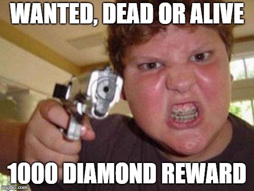 minecrafter | WANTED, DEAD OR ALIVE; 1000 DIAMOND REWARD | image tagged in minecrafter | made w/ Imgflip meme maker