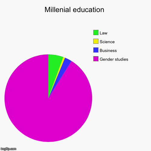 Millenial education | Gender studies , Business, Science, Law | image tagged in funny,pie charts | made w/ Imgflip chart maker