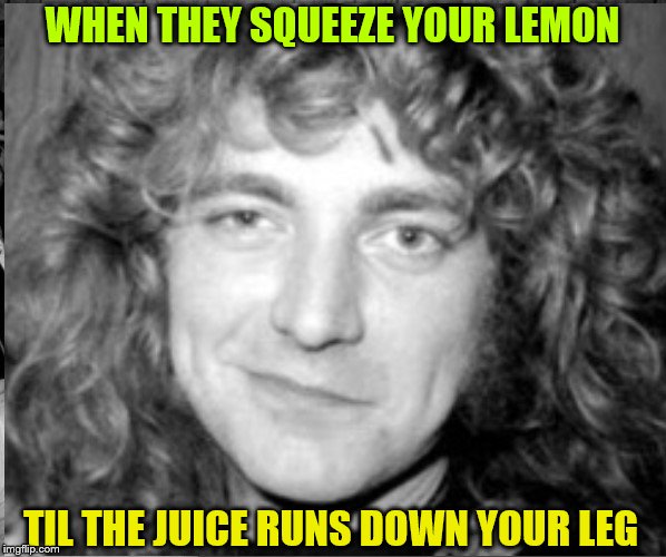 WHEN THEY SQUEEZE YOUR LEMON TIL THE JUICE RUNS DOWN YOUR LEG | image tagged in robert plant smirk | made w/ Imgflip meme maker