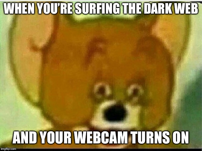 Jerry  | WHEN YOU’RE SURFING THE DARK WEB; AND YOUR WEBCAM TURNS ON | image tagged in jerry | made w/ Imgflip meme maker