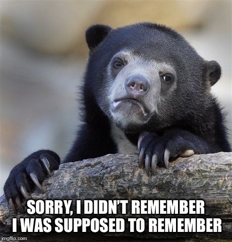 Confession Bear Meme | SORRY, I DIDN’T REMEMBER I WAS SUPPOSED TO REMEMBER | image tagged in memes,confession bear | made w/ Imgflip meme maker
