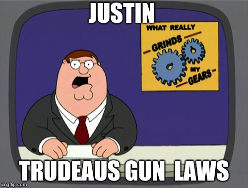 Peter Griffin News | JUSTIN; TRUDEAUS GUN  LAWS | image tagged in memes,peter griffin news | made w/ Imgflip meme maker