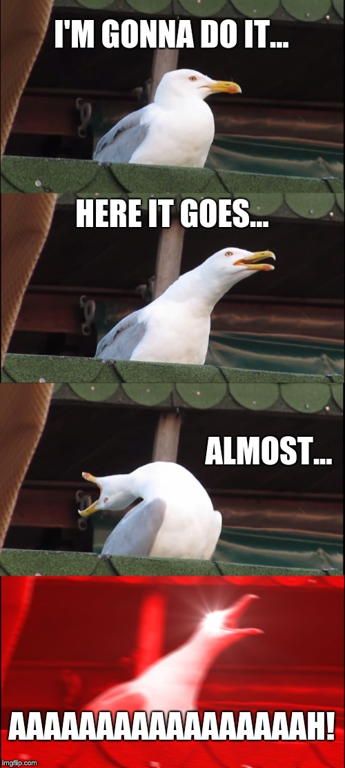 Inhaling Seagull | I'M GONNA DO IT... HERE IT GOES... ALMOST... AAAAAAAAAAAAAAAAAH! | image tagged in memes,inhaling seagull | made w/ Imgflip meme maker