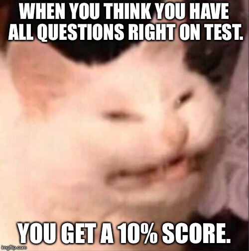 WHEN YOU THINK YOU HAVE ALL QUESTIONS RIGHT ON TEST. YOU GET A 10% SCORE. | image tagged in rip | made w/ Imgflip meme maker