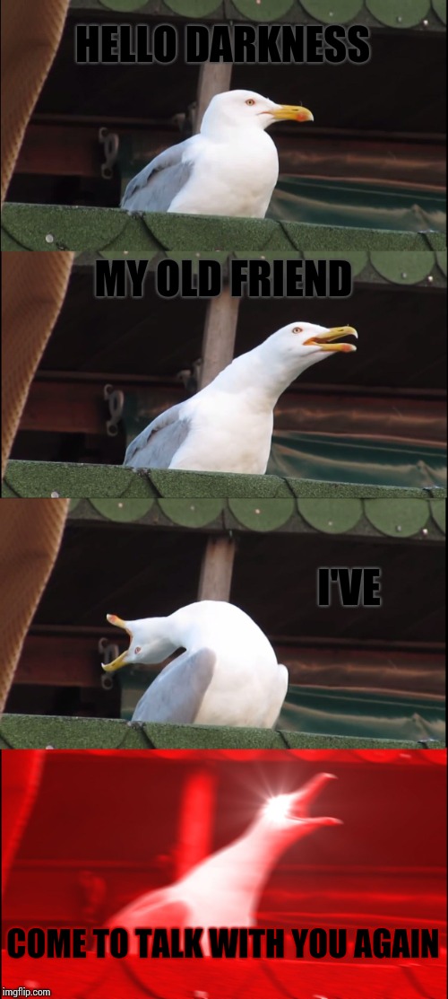 Inhaling Seagull Meme | HELLO DARKNESS; MY OLD FRIEND; I'VE; COME TO TALK WITH YOU AGAIN | image tagged in memes,inhaling seagull | made w/ Imgflip meme maker