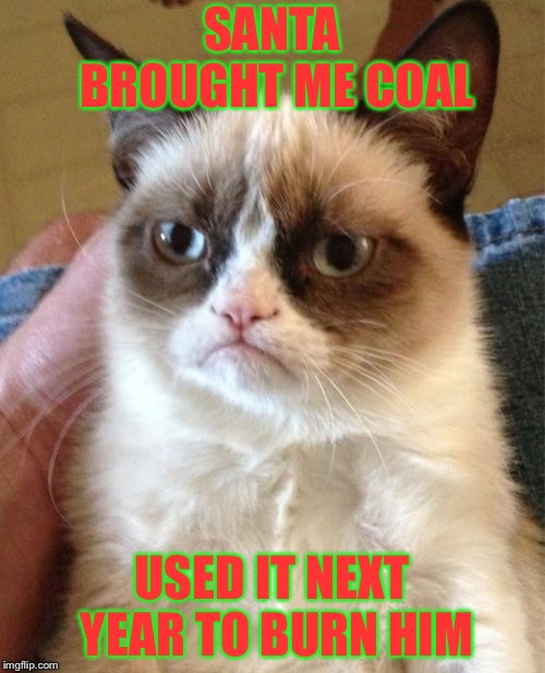 Grumpy Cat | SANTA BROUGHT ME COAL; USED IT NEXT YEAR TO BURN HIM | image tagged in memes,grumpy cat | made w/ Imgflip meme maker