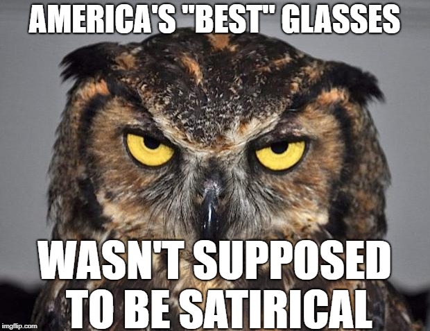 angry owl | AMERICA'S "BEST" GLASSES; WASN'T SUPPOSED TO BE SATIRICAL | image tagged in angry owl | made w/ Imgflip meme maker