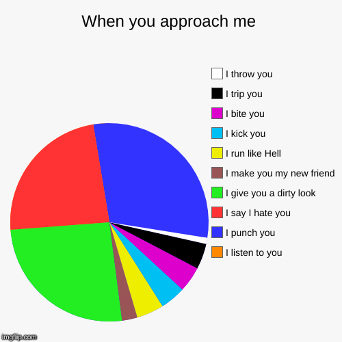 When you approach me | I listen to you, I punch you, I say I hate you, I give you a dirty look, I make you my new friend, I run like Hell ,  | image tagged in funny,pie charts | made w/ Imgflip chart maker