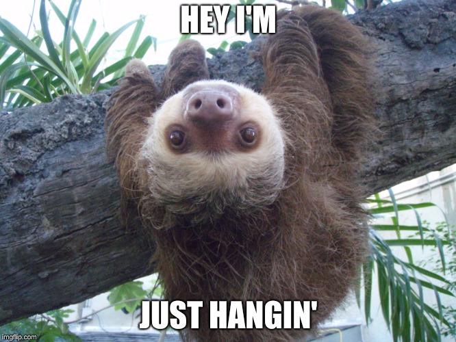 I'M JUST HANGIN' | HEY I'M; JUST HANGIN' | image tagged in funny | made w/ Imgflip meme maker