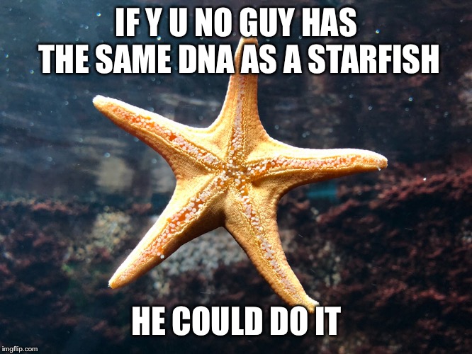 IF Y U NO GUY HAS THE SAME DNA AS A STARFISH HE COULD DO IT | made w/ Imgflip meme maker
