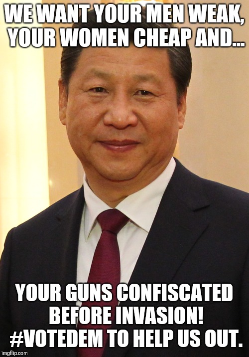 Xi Jinping | WE WANT YOUR MEN WEAK, YOUR WOMEN CHEAP AND... YOUR GUNS CONFISCATED BEFORE INVASION! #VOTEDEM TO HELP US OUT. | image tagged in xi jinping | made w/ Imgflip meme maker