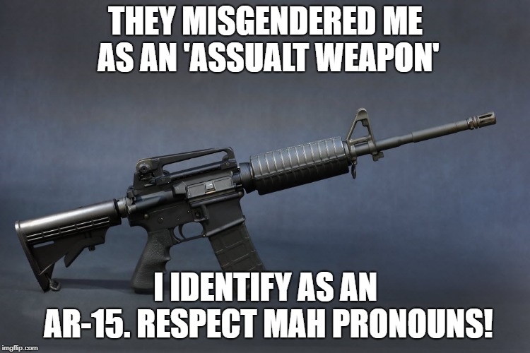 AR-15 | THEY MISGENDERED ME AS AN 'ASSUALT WEAPON'; I IDENTIFY AS AN AR-15. RESPECT MAH PRONOUNS! | image tagged in ar-15 | made w/ Imgflip meme maker