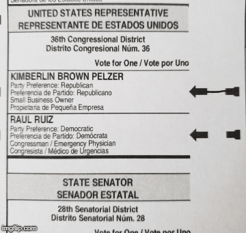 I VOTED! | I VOTED! | image tagged in gifs,vote | made w/ Imgflip images-to-gif maker