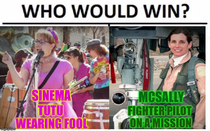 Who Would Win Arizona? | MCSALLY; SINEMA; TUTU WEARING FOOL; FIGHTER PILOT ON A MISSION | image tagged in political meme,candidates,arizona,who would win,memes | made w/ Imgflip meme maker