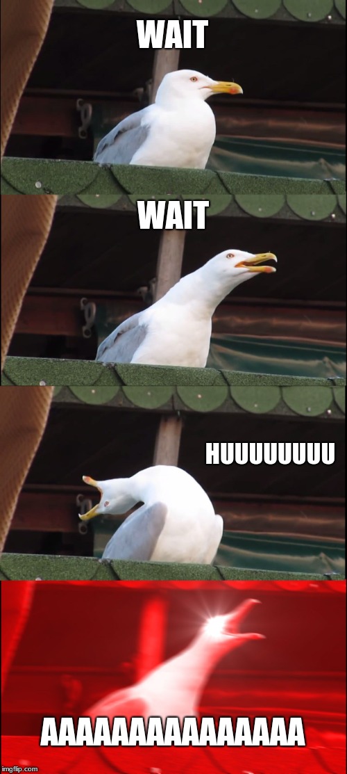 fits
 | WAIT; WAIT; HUUUUUUUU; AAAAAAAAAAAAAAA | image tagged in memes,inhaling seagull | made w/ Imgflip meme maker