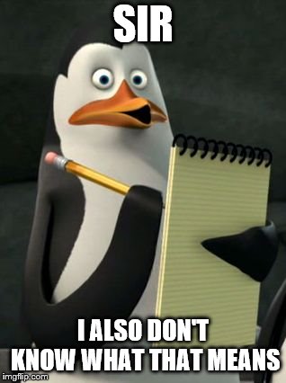 Kowalski Penguins | SIR I ALSO DON'T KNOW WHAT THAT MEANS | image tagged in kowalski penguins | made w/ Imgflip meme maker