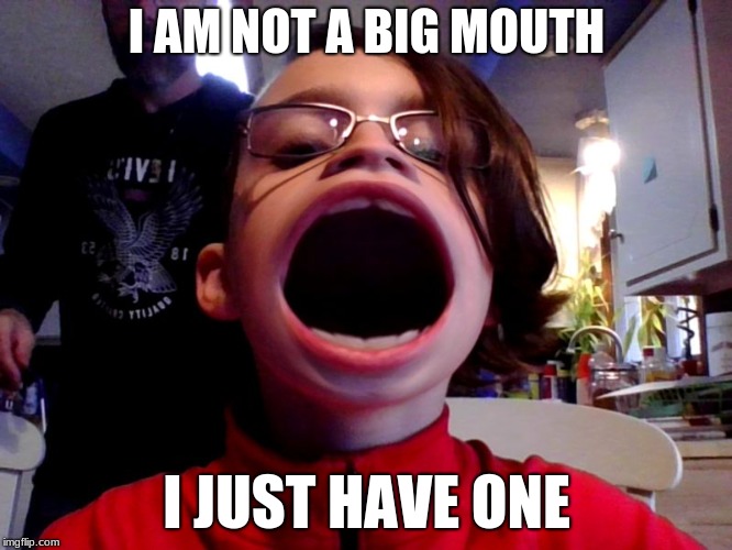 im not a big mouth | I AM NOT A BIG MOUTH; I JUST HAVE ONE | image tagged in bigmouth | made w/ Imgflip meme maker