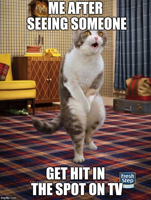 Gotta Go Cat Meme | ME AFTER SEEING SOMEONE; GET HIT IN THE SPOT ON TV | image tagged in memes,gotta go cat | made w/ Imgflip meme maker