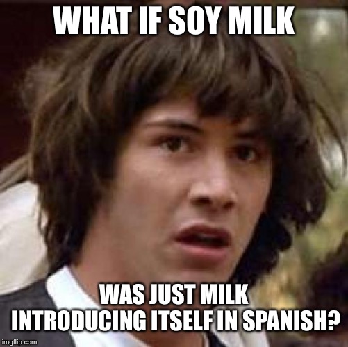 Calcium conspiracies | WHAT IF SOY MILK; WAS JUST MILK INTRODUCING ITSELF IN SPANISH? | image tagged in memes,conspiracy keanu | made w/ Imgflip meme maker