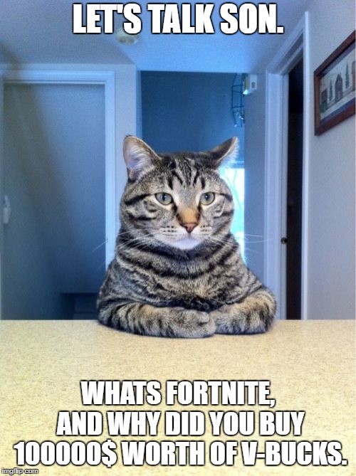 son let's talk.
 | LET'S TALK SON. WHATS FORTNITE, AND WHY DID YOU BUY 100000$ WORTH OF V-BUCKS. | image tagged in memes,take a seat cat | made w/ Imgflip meme maker