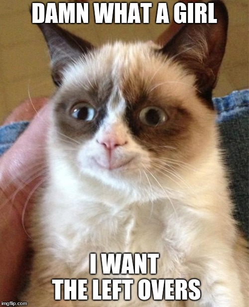 Grumpy Cat Happy Meme | DAMN WHAT A GIRL I WANT THE LEFT OVERS | image tagged in memes,grumpy cat happy,grumpy cat | made w/ Imgflip meme maker