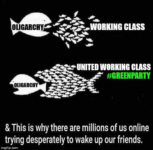 WORKING CLASS; OLIGARCHY; UNITED WORKING CLASS; #GREENPARTY; OLIGARCHY | image tagged in unite the working class,green party,oligarchy | made w/ Imgflip meme maker