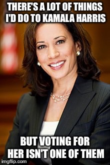 THERE'S A LOT OF THINGS I'D DO TO KAMALA HARRIS BUT VOTING FOR HER ISN'T ONE OF THEM | made w/ Imgflip meme maker