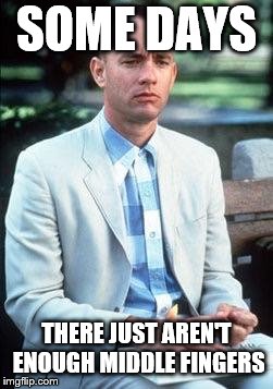 Forest gump | SOME DAYS; THERE JUST AREN'T ENOUGH MIDDLE FINGERS | image tagged in forest gump | made w/ Imgflip meme maker