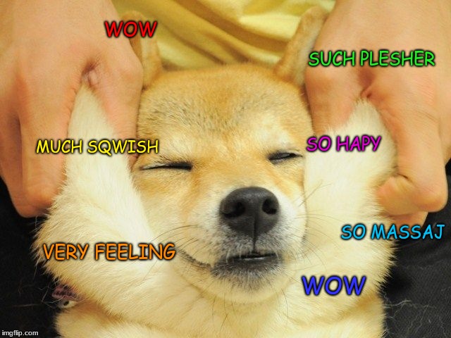 WOW; SUCH PLESHER; MUCH SQWISH; SO HAPY; SO MASSAJ; VERY FEELING; WOW | image tagged in very good,memes,doge,doggos | made w/ Imgflip meme maker