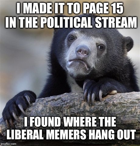 Confession Bear | I MADE IT TO PAGE 15 IN THE POLITICAL STREAM; I FOUND WHERE THE LIBERAL MEMERS HANG OUT | image tagged in memes,confession bear | made w/ Imgflip meme maker