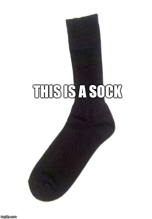 Random sock | THIS IS A SOCK | image tagged in random sock | made w/ Imgflip meme maker