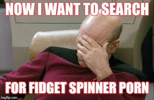 Captain Picard Facepalm Meme | NOW I WANT TO SEARCH FOR FIDGET SPINNER PORN | image tagged in memes,captain picard facepalm | made w/ Imgflip meme maker