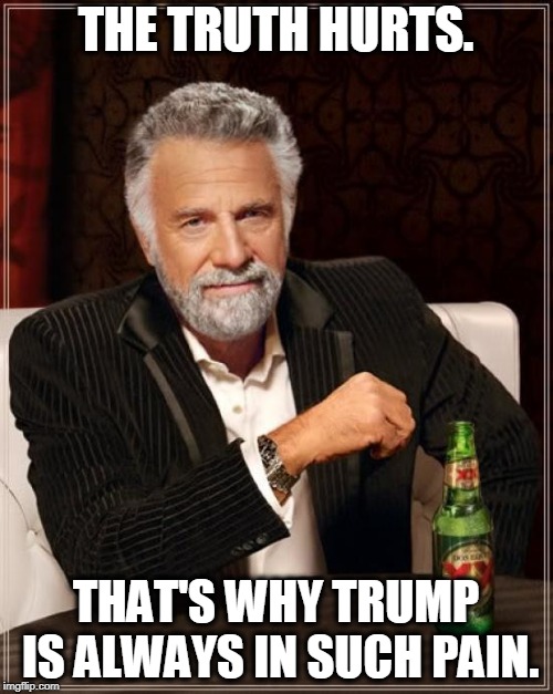 The Most Interesting Man In The World Meme | THE TRUTH HURTS. THAT'S WHY TRUMP IS ALWAYS IN SUCH PAIN. | image tagged in memes,the most interesting man in the world | made w/ Imgflip meme maker