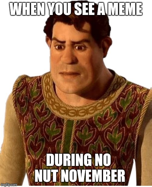 WHEN YOU SEE A MEME; DURING NO NUT NOVEMBER | image tagged in human shrek | made w/ Imgflip meme maker