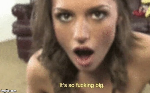 It's so fucking big | image tagged in it's so fucking big,gaming | made w/ Imgflip meme maker