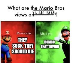TERRORISTS; BOMBO THAT TOWNO; THEY SUCK, THEY SHOULD DIE | image tagged in mario bros views | made w/ Imgflip meme maker