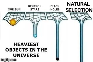 NATURAL SELECTION | image tagged in the heaviest stuff in the universe | made w/ Imgflip meme maker