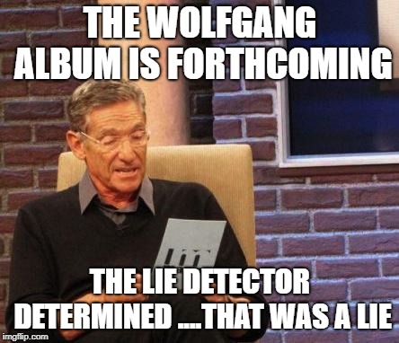 Maury Lie Detector | THE WOLFGANG ALBUM IS FORTHCOMING; THE LIE DETECTOR DETERMINED ....THAT WAS A LIE | image tagged in maury lie detector | made w/ Imgflip meme maker