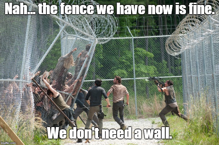 Things I learned from TWD, Lesson 1. | Nah... the fence we have now is fine. We don't need a wall. | image tagged in funny,the walking dead | made w/ Imgflip meme maker