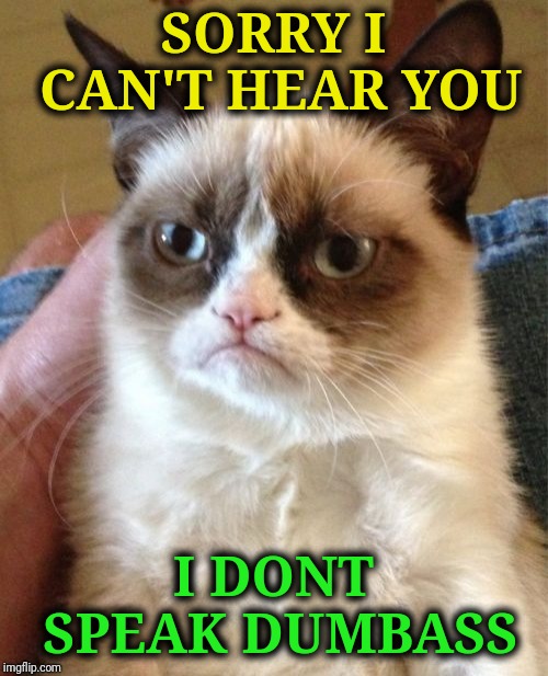 Grumpy Language | SORRY I CAN'T HEAR YOU; I DONT SPEAK DUMBASS | image tagged in memes,grumpy cat,funny,y u no speak my language | made w/ Imgflip meme maker