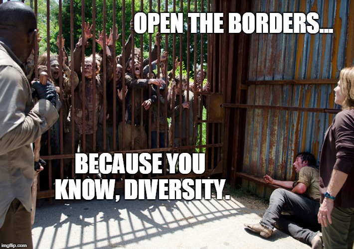 Things I learned from TWD, Lesson 4 | OPEN THE BORDERS... BECAUSE YOU KNOW, DIVERSITY. | image tagged in funny,the walking dead | made w/ Imgflip meme maker