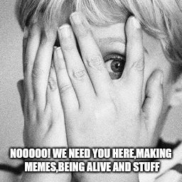 Peeking through fingers | NOOOOO! WE NEED YOU HERE,MAKING MEMES,BEING ALIVE AND STUFF | image tagged in peeking through fingers | made w/ Imgflip meme maker